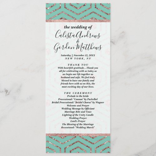 Modern Chic Aqua Rose Gold Glitter Hexagon Geo Program