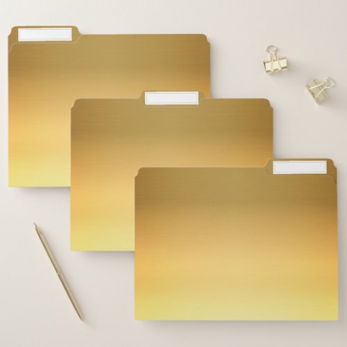 Modern Chic Elegant Gold Foil Background File Folder