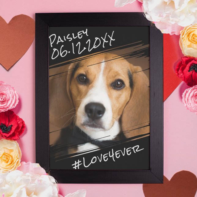 Modern Chic Elegant Simple Black Pet Dog Keepsake  Poster (Creator Uploaded)