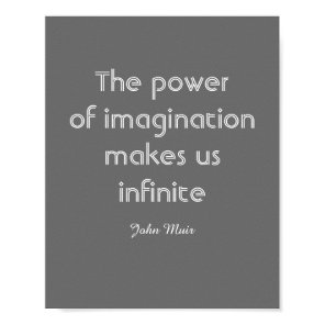 modern chic inspirational Muir quote poster