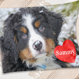 Modern Chic Pet Photo Personalized Dog Lover Fleece Blanket