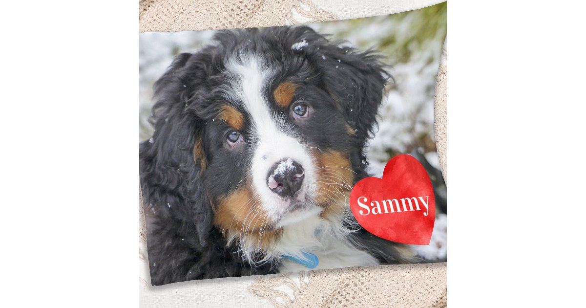 Personalized Dog Horse Quilt/Fleece Blanket - Man/Woman With Up to 5 Pets - We Still Talk About You main image 1