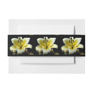 Modern Chic Yellow Flower on Black Invitation Belly Band