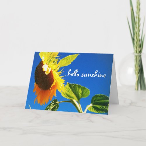 Modern Chic Yellow Sunflower Hello Sunshine Script Card