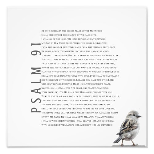 Modern Christian Psalm 91 Cute Little Bird Photo Print