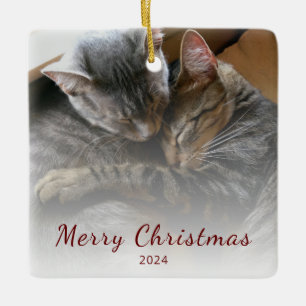 Modern Christmas Cute Cats Photo Festive   Ceramic Ornament