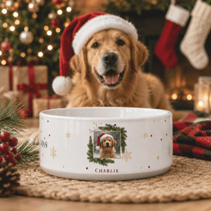 Modern Christmas Pet Bowl – Personalized Photo