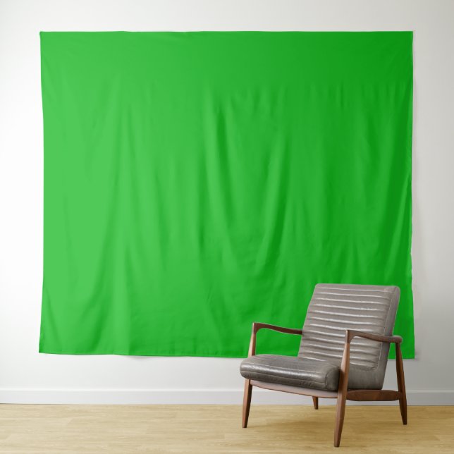 Modern Chroma Key Green Screen Zoom backdrop (In Situ (Horizontal))