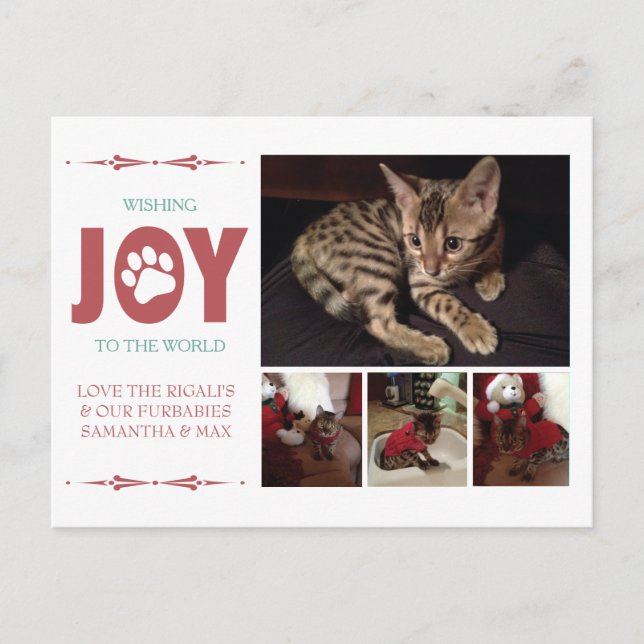 Modern Claret Red Pet Photo Holiday Postcard (Front)