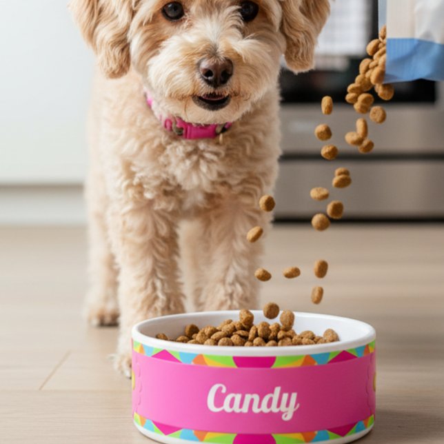 Modern Colorful Retro Geometric Ceramic Pet Bowl (Designed for tail wags and happy chomps. Spoil your pet toady, she will love you for it.)