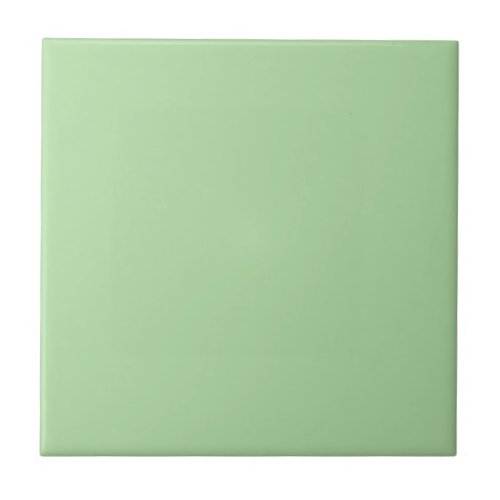 Modern Colors _ Tropical Spring Green Ceramic Tile