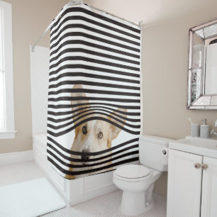 Modern combination funny dog Photo Stripes Shower Curtain