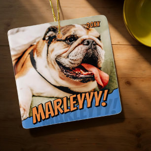 Modern Comic Simple Cool Custom Pet Photo Ceramic Ornament