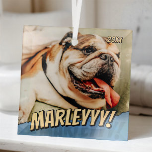 Modern Comic Simple Cool Custom Pet Photo Glass Ornament