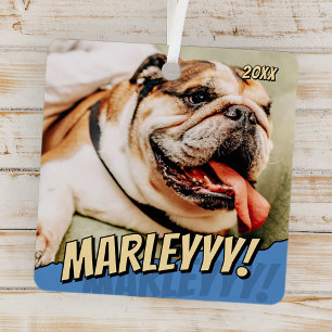 Modern Comic Simple Cool Custom Pet Photo Metal Ornament