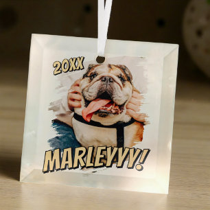 Modern Comic Simple Grunge Custom Pet Photo Glass Ornament