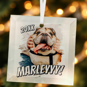 Modern Comic Simple Grunge Custom Pet Photo Glass Ornament
