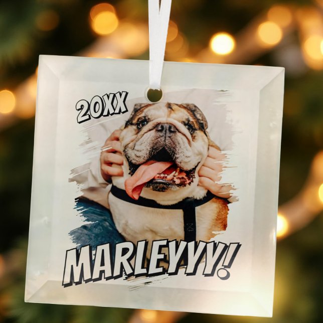 Modern Comic Simple Grunge Custom Pet Photo Glass Ornament (Creator Uploaded)