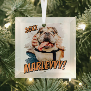 Modern Comic Simple Grunge Custom Pet Photo Glass Ornament