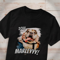 Modern Comic Simple Grunge Custom Pet Photo