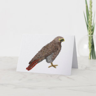 Modern cool hawk holiday card