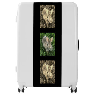 Modern Cottontail Bunny Luggage