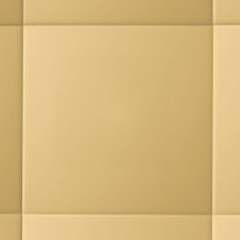 Modern Cozy Solid Color Almond