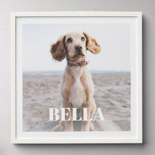 Modern Custom Dog Photo Gift Keepsake Wall Art Peel And Stick Photo Tile