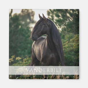 Modern Custom Equestrian Horse Name Photo Magnet