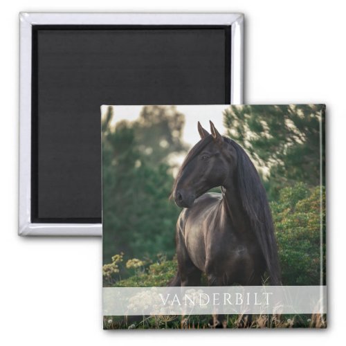 Modern Custom Equestrian Horse Name Photo Magnet