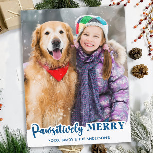 Modern Custom Pet Dog Cat Photo Pawsitively Merry Holiday Postcard