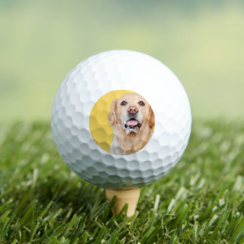Modern Custom Pet Dog Photo Golf Balls