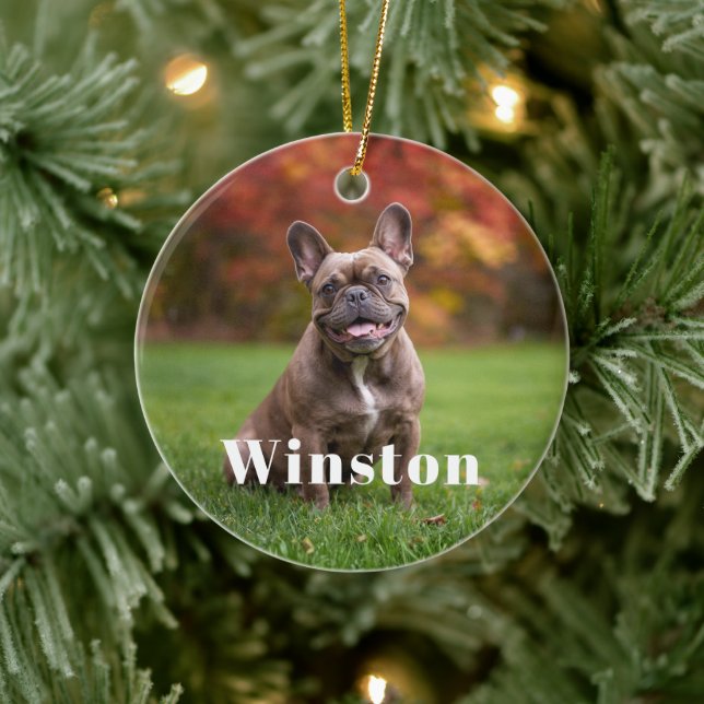 Modern Custom Pet Name Photo Holiday Ceramic Ornament (Tree)