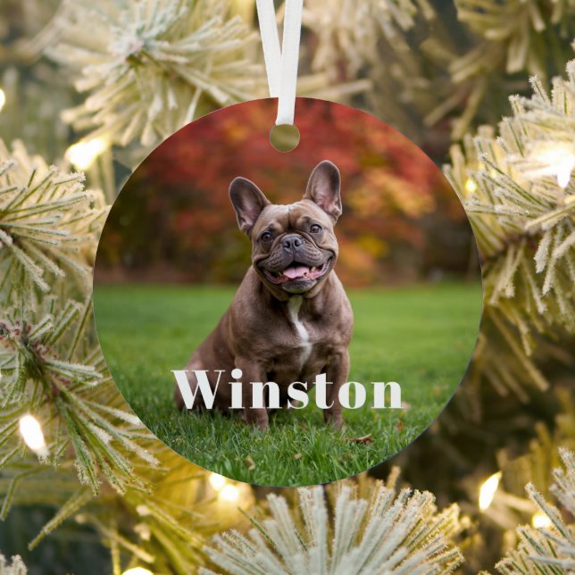 Modern Custom Pet Name Photo Holiday Metal Ornament (Insitu)