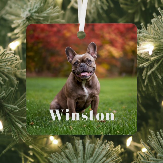 Modern Custom Pet Name Photo Holiday Metal Ornament (Insitu)