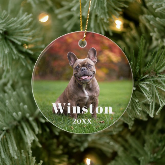 Modern Custom Pet Name Year Photo Holiday Ceramic Ornament (Tree)