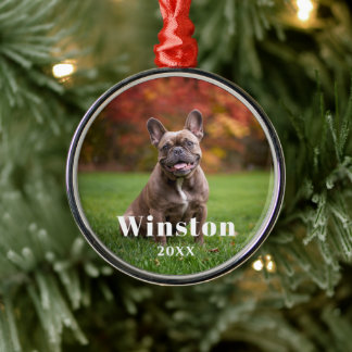 Modern Custom Pet Name Year Photo Holiday Metal Ornament