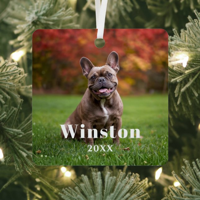 Modern Custom Pet Name Year Photo Holiday Metal Ornament (Insitu)