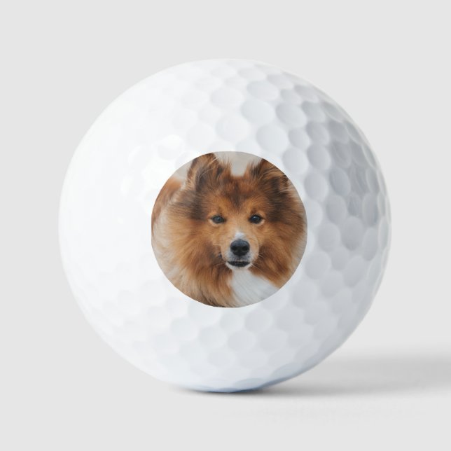 Modern Custom Pet Photo Golf Balls (Front)