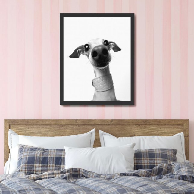 Modern Custom Pet Photo | Meeko Large Poster (Creator Uploaded)