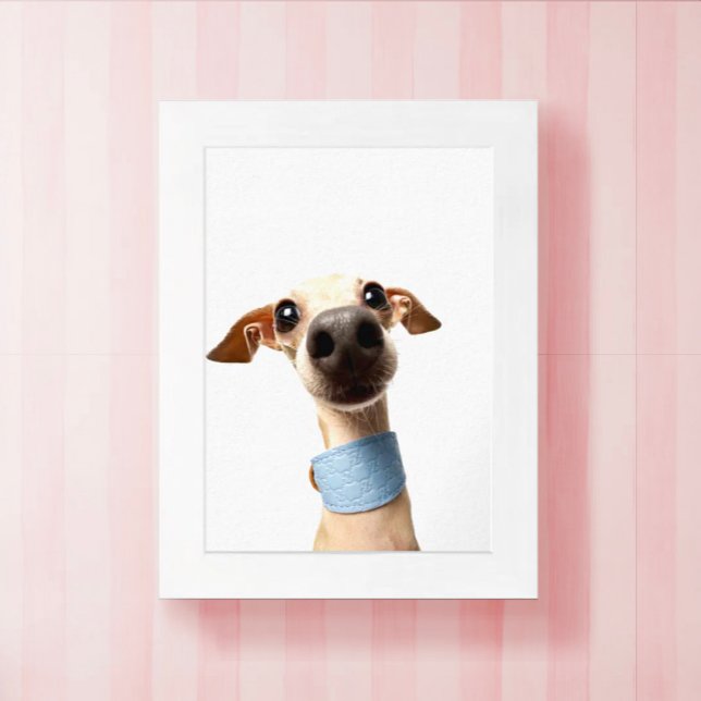 Modern Custom Pet Photo | Meeko Poster (Creator Uploaded)