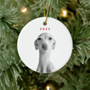 Modern Custom Pet Portrait  Ceramic Ornament