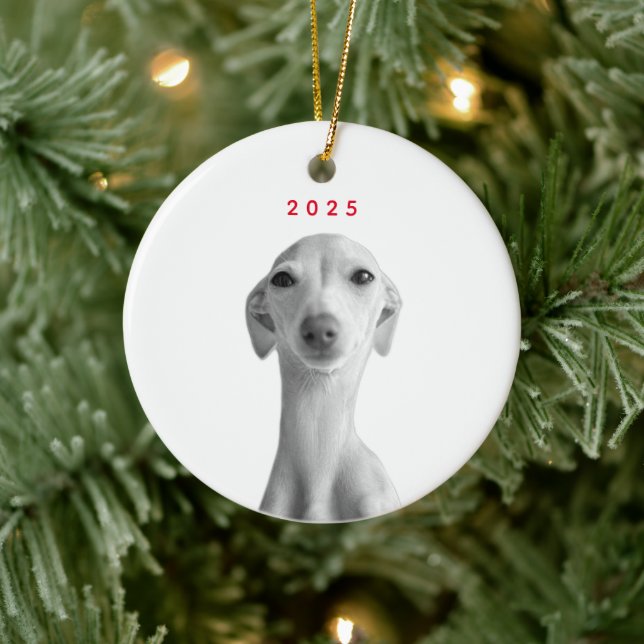 Modern Custom Pet Portrait  Ceramic Ornament (Tree)