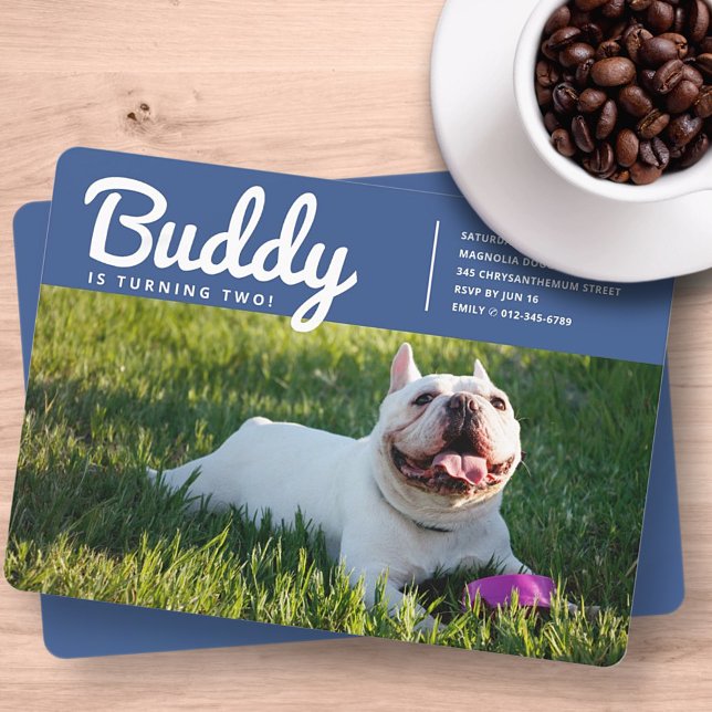 Modern Custom Pet Puppy Dog Photo Birthday Invitation (Creator Uploaded)