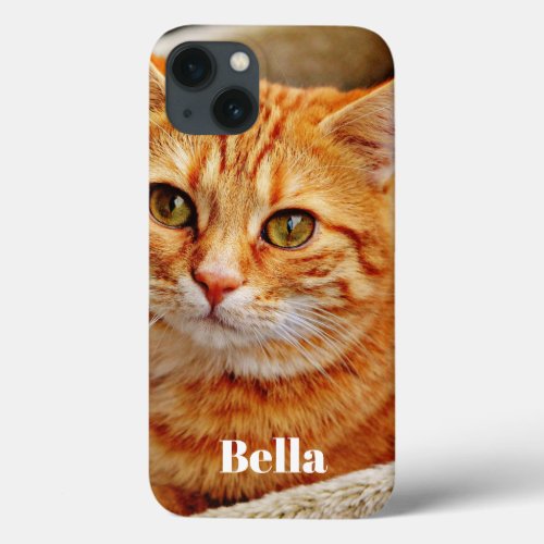 Modern Custom Photo  iPhone 13 Case