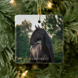 Modern Custom Photo Horse Equestrian Christmas  Ceramic Ornament