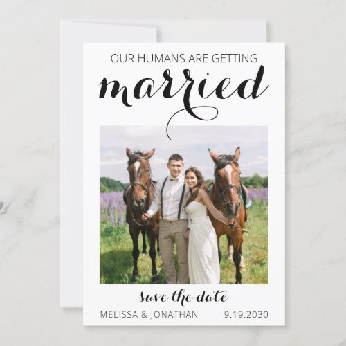 Modern Custom Photo Horse Pet Equestrian Wedding Save The Date