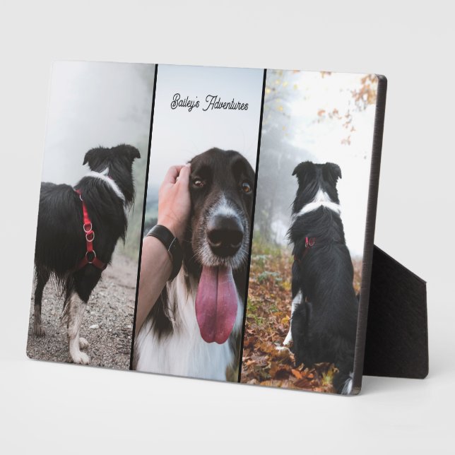 Modern Custom Photo Pet 3 Photo Collage Keepsake Plaque (Side)
