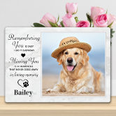 Pet Memorial Acrylic Plaque For Dogs - Sympathy Gift For Pet Loss, Healing Keepsake For Dog Owners