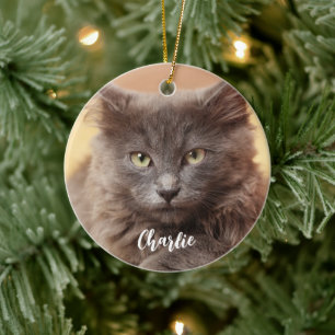 Modern Custom Photo Pet Name Ceramic Ornament